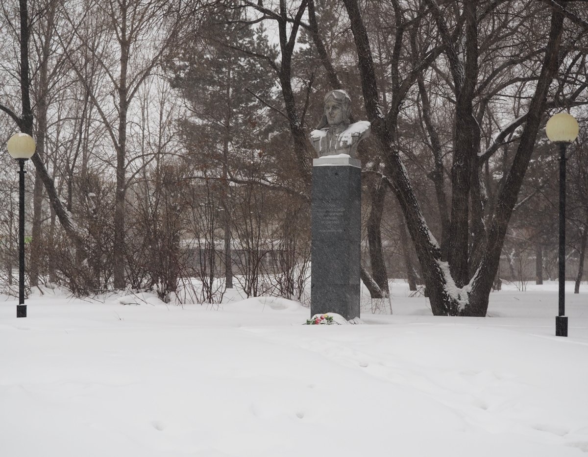Памятники «Бюст Маресьеву» Комсомольск-на-Амуре