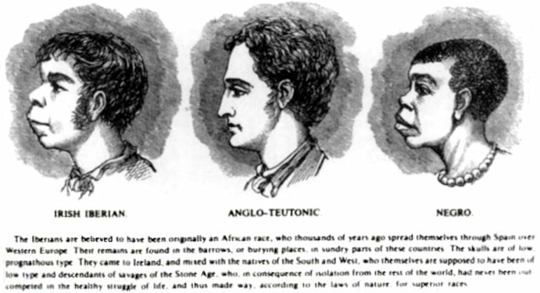 scientific_racism_irishan-illustration-from-harpers-weekly-shows-an-alleged-similarity-between-irish-and-negro-features-from-wikipedia